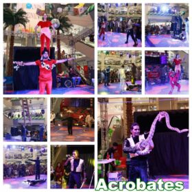 Acrobat Performance